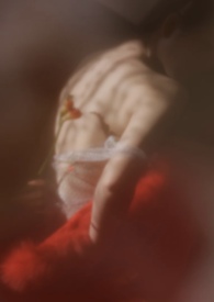 软件